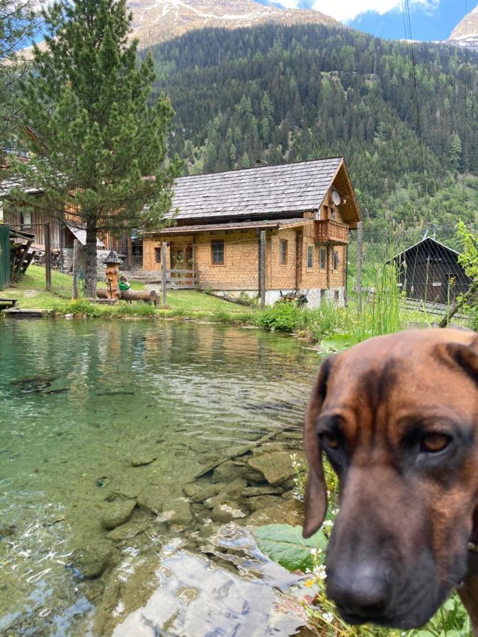 Gletscher Chalet Flattach Buitenkant foto